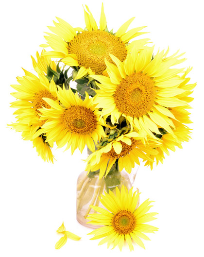 bouquet of sunflowers