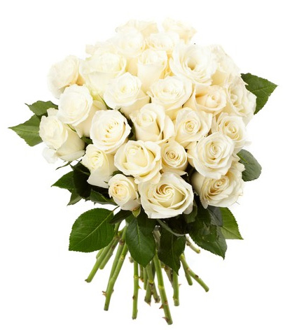 bouquet of white roses